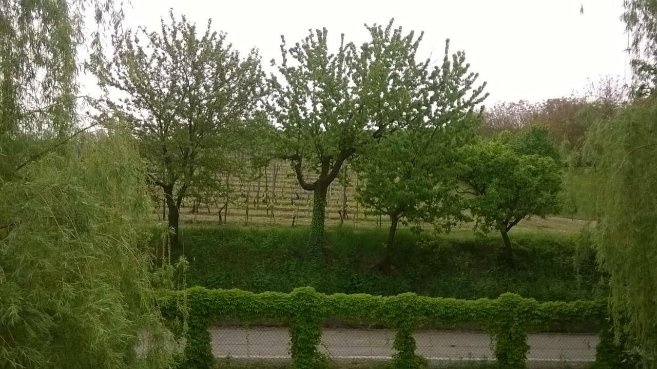 Agriturismo Cascina Barin Roddi Екстер'єр фото